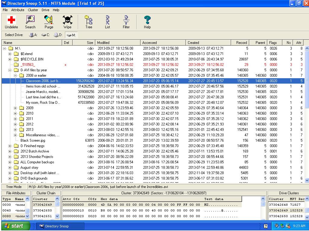 Directory Snoop screenshot of M Drive (10-13-2013).JPG