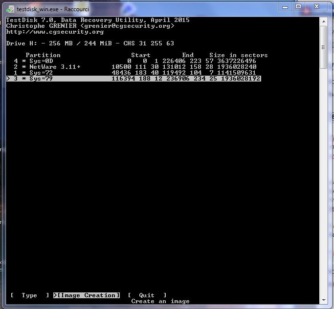 disk partition as seen after advanced choice