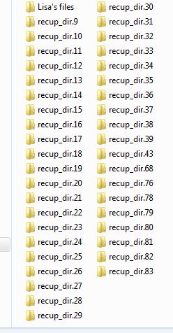 TestDisk folders.JPG